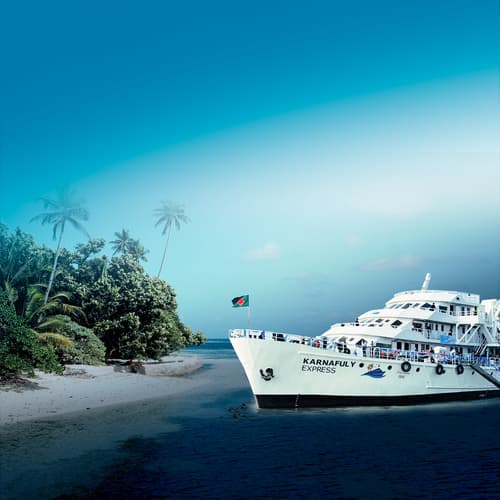 {shipsName} Cruise Ship